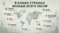 Сергей Колясников: Свежая статистика - запасы леса по странам