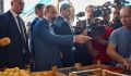Вот и до абрикосов с виноградом дело дошло: Что следующее в списке запрещённого к ввозу из Армении?