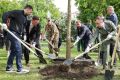 Что делают чиновники, бизнесмены, иностранные дипломаты и бойцы СВО в самом центре Питера перед началом ПМЭФ? Высаживают аллею дубов и лип, конечно!