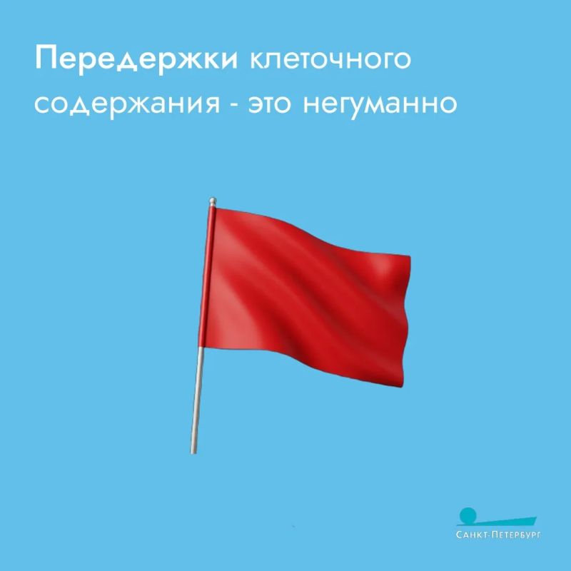 Оставить своего питомца с «няней» и уехать в отпуск – на такое решится не каждый хозяин Оставить своего питомца с «няней» и уехать в отпуск – на такое решится не каждый хозяин