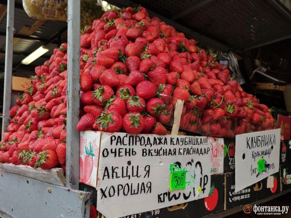 В Петербурге стартовал клубничный сезон — ящики с первой летней ягодой уже теснятся на прилавках