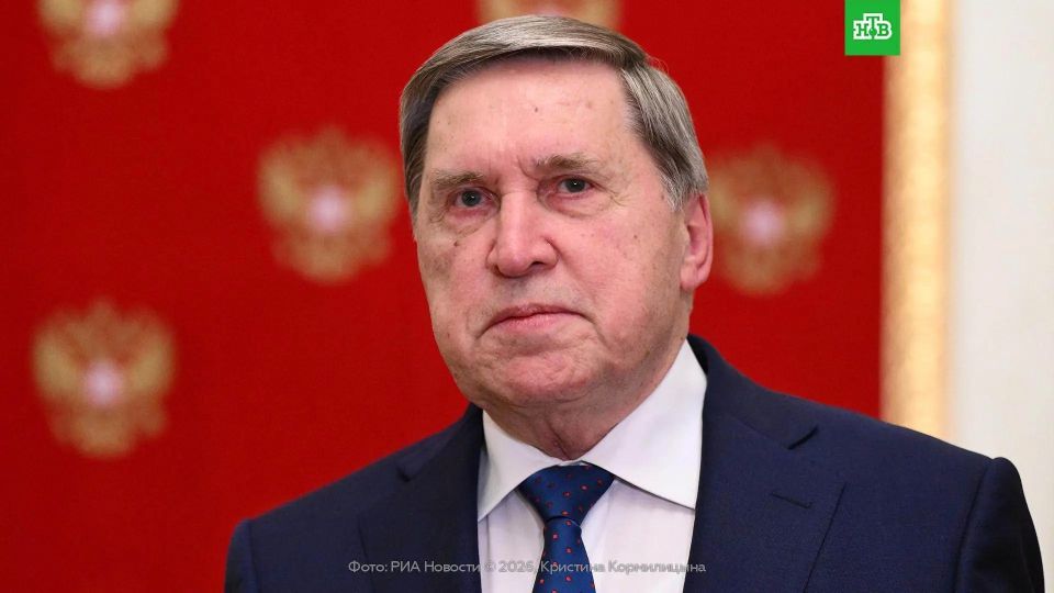 США впервые за несколько лет будут официально представлены на Петербургском международном экономическом форуме, сообщил помощник президента РФ Ушаков