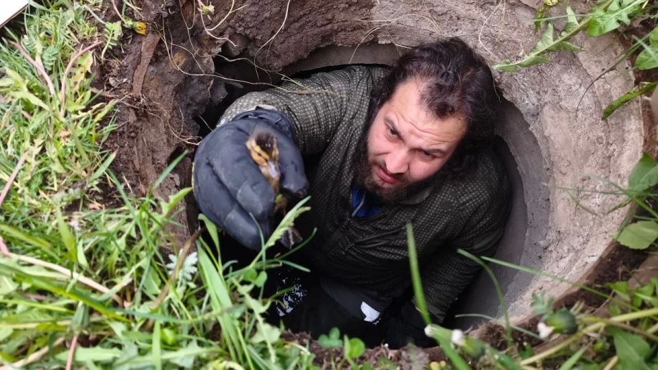 «Кряк!» из колодца: утёнка вызволили из дорожного плена «Кряк!» из колодца: утёнка вызволили из дорожного плена
