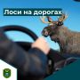 ���� � ���� �������� ����� �� ������ ����������: ��������� ��������� ���� �������������