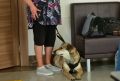 Атака отражена. ПВО уничтожила 144 БПЛА на Санкт-Петербургом и Ленобластью