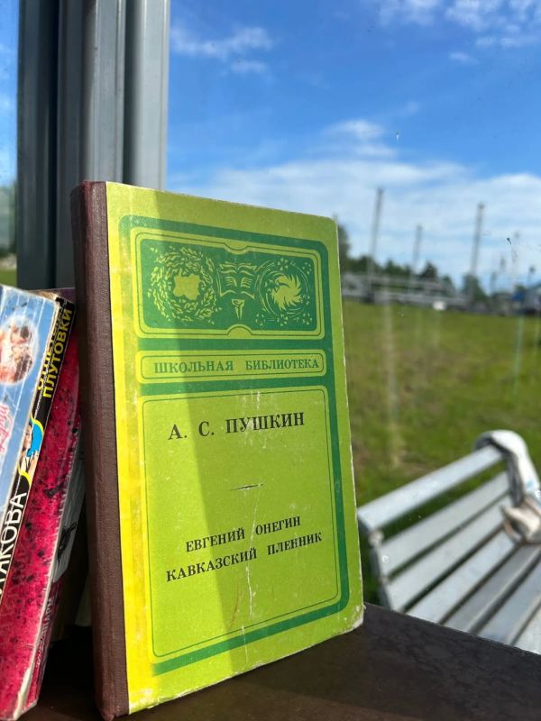 В Приоратском парке Гатчины восстановили шкаф для книгообмена В Приоратском парке Гатчины восстановили шкаф для книгообмена