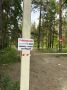 В Ломоносовском районе временно запретили заходить в лес