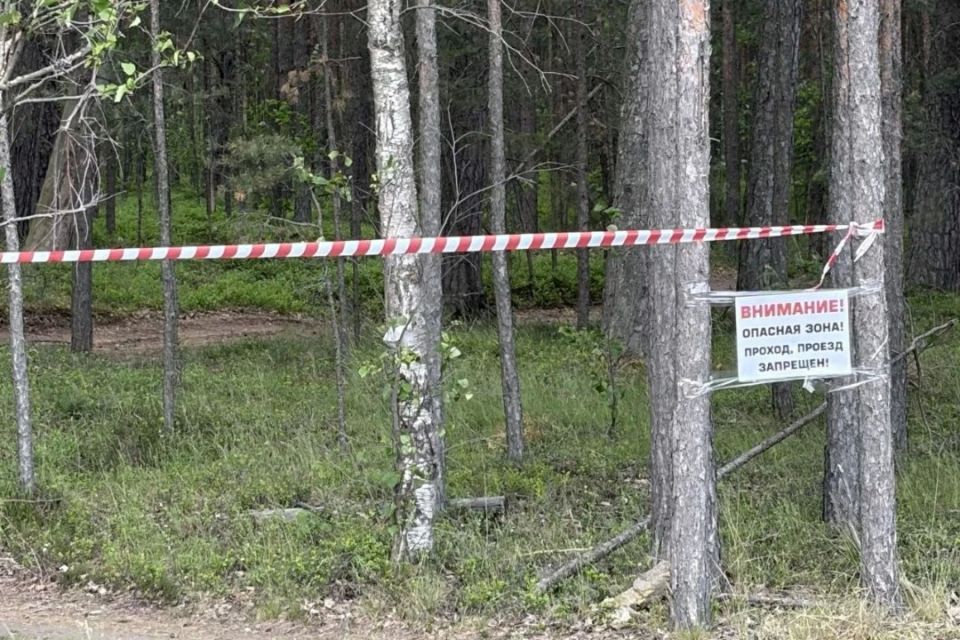 В Ломоносовском районе временно запретили заходить в лес В Ломоносовском районе временно запретили заходить в лес