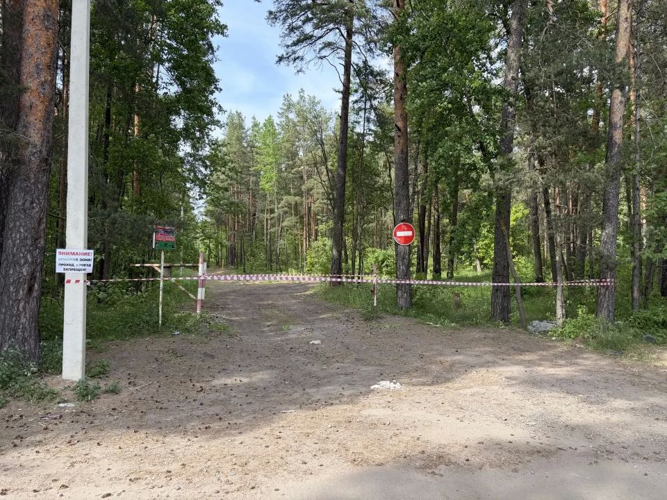 У посёлков Большая Ижора и Лебяжье запретили вход в лес до особого распоряжения У посёлков Большая Ижора и Лебяжье запретили вход в лес до особого распоряжения