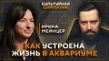 ���������� �������� � �������� ������������ �� ����� Sputnik
