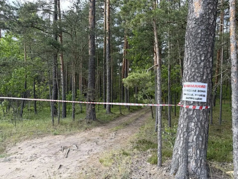 В Ломоносовском районе временно запретили заходить в лес В Ломоносовском районе временно запретили заходить в лес