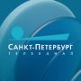 В Лисьем Носу пенсионерка на иномарке съехала на велодорожку и сбила велосипедистов: один погиб на месте