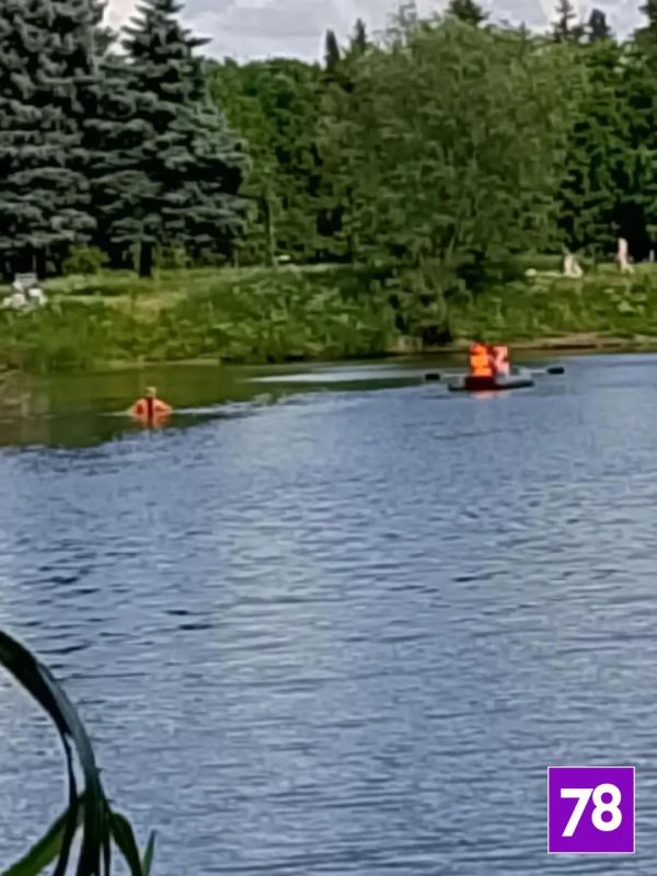В пруду Южно-Приморского парка утонул мужчина В пруду Южно-Приморского парка утонул мужчина