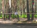 У поселков Лебяжье и Большая Ижора перекрыли вход в сосновый лес