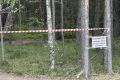 Жителям Ленобласти запретили гулять в лесу между Большой Ижорой и Лебяжьем