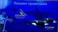Марат Баширов: Для расширения кругозора.. …