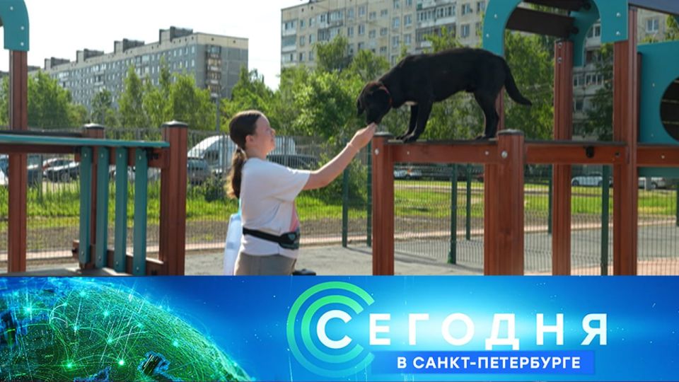 Как привлекать к ответственности за нарушение ПДД владельцев машин с иностранными номерами и допустить самозанятых к работе в такси обсудили в Мариинском дворце