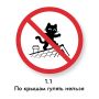 Сегодня в Петербурге свой праздник отмечают главные хранители уютных дворов и подвалов — коты и кошки