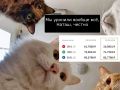 Эльвира Сахипзадовна, они без вас доллар и евро уронили!