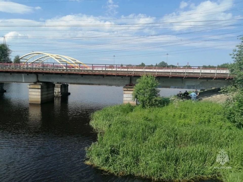 Подросток утонул в реке Охта