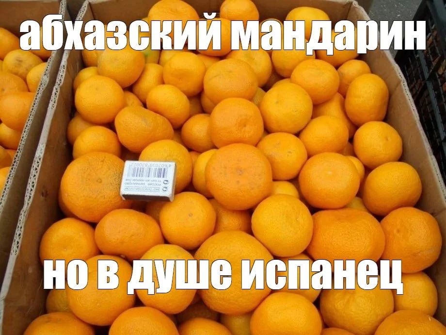 Под видом абхазских мандаринов в Россию заезжают гости из Китая, Испании и Турции, рассказал РИА Новости Бадра Гунба