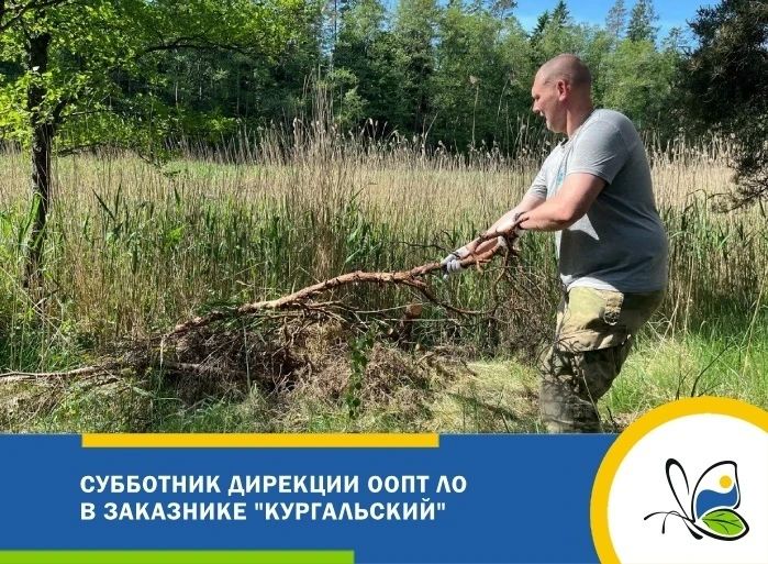 В заказнике «Кургальский» прошел субботник