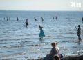 На 9 июня купаться нельзя ни на одном из 24 пляжей