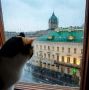 На Петербург сегодня обрушатся ливни, грозы и штормовой ветер
