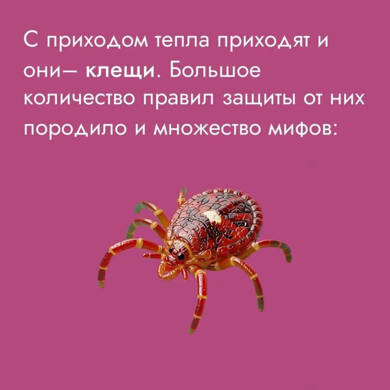 Укусы клещей – одна из сезонных угроз для здоровья, так как эти насекомые могут переносить различные заболевания