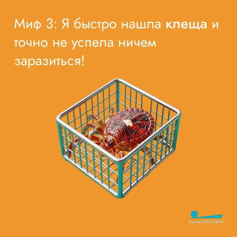 Укусы клещей – одна из сезонных угроз для здоровья, так как эти насекомые могут переносить различные заболевания Укусы клещей – одна из сезонных угроз для здоровья, так как эти насекомые могут переносить различные заболевания