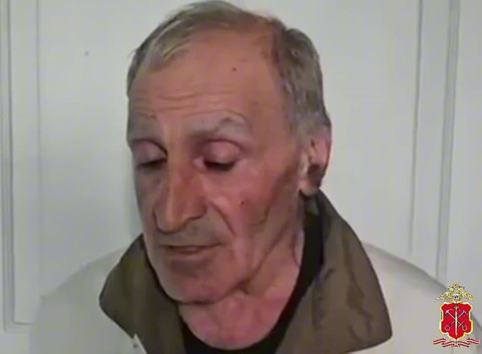 Полицейские задержали мужчину, отомстившего за сбитого кота поджогом иномарки