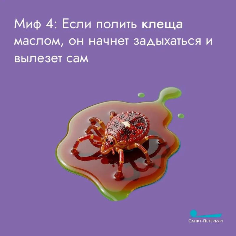 Укусы клещей – одна из сезонных угроз для здоровья, так как эти насекомые могут переносить различные заболевания Укусы клещей – одна из сезонных угроз для здоровья, так как эти насекомые могут переносить различные заболевания