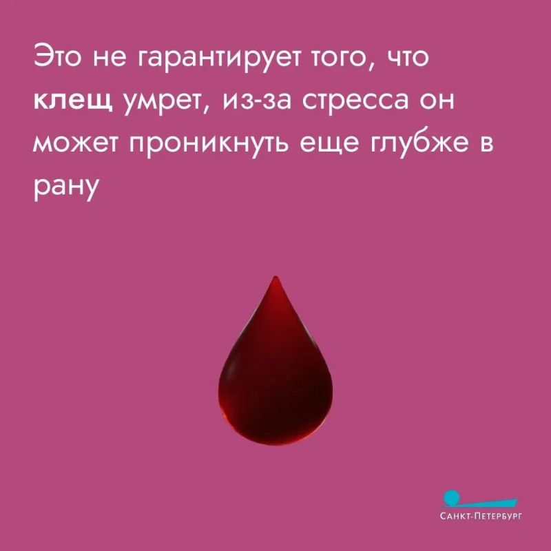 Укусы клещей – одна из сезонных угроз для здоровья, так как эти насекомые могут переносить различные заболевания Укусы клещей – одна из сезонных угроз для здоровья, так как эти насекомые могут переносить различные заболевания