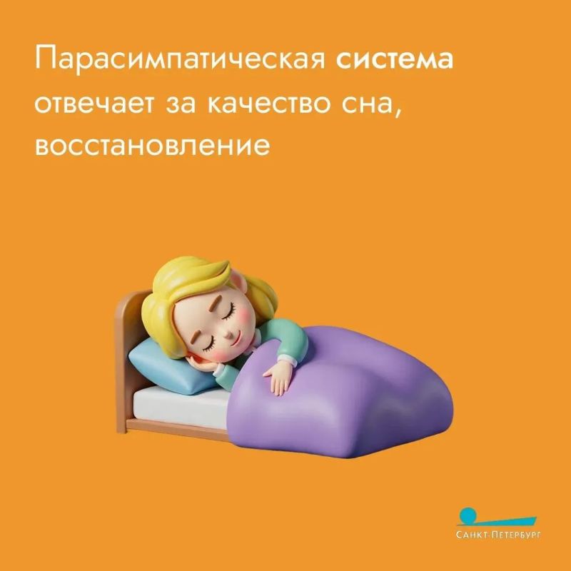 А вы кладёте сахар в утренний кофе? Нейропсихологи открыли ещё один неприятный эффект этого продукта А вы кладёте сахар в утренний кофе? Нейропсихологи открыли ещё один неприятный эффект этого продукта