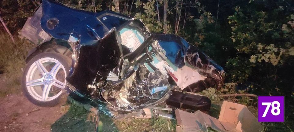 Автомобиль расплющило об дерево на дороге к «шалашу Ленина»