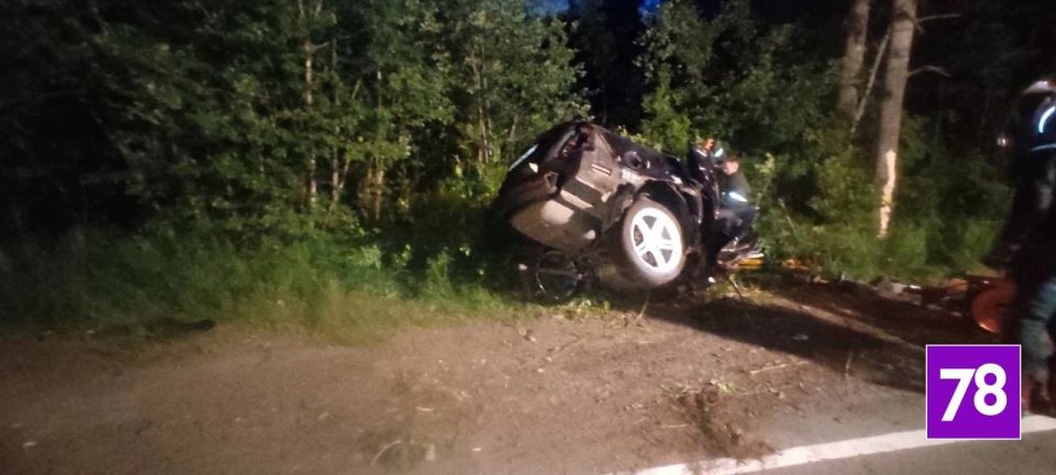 Автомобиль расплющило об дерево на дороге к «шалашу Ленина» Автомобиль расплющило об дерево на дороге к «шалашу Ленина»