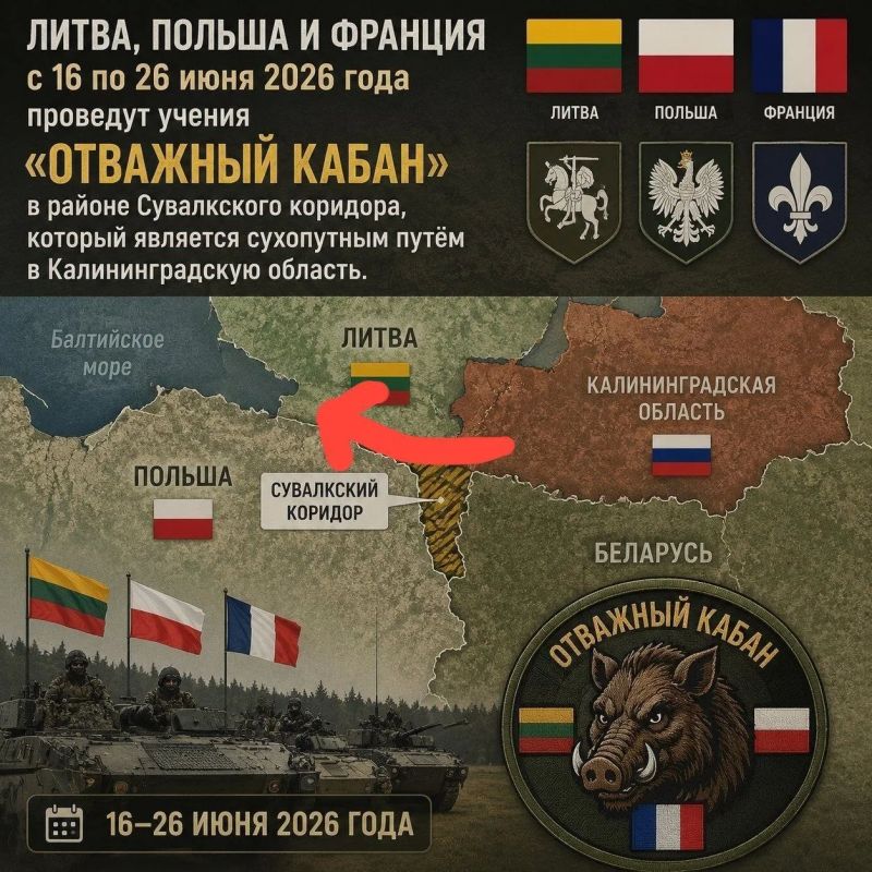 В этой гуляющей по каналам карте больше вопросов вызывает не отважный кабан, а дрейф Калининградской области прочь от Балтийского моря