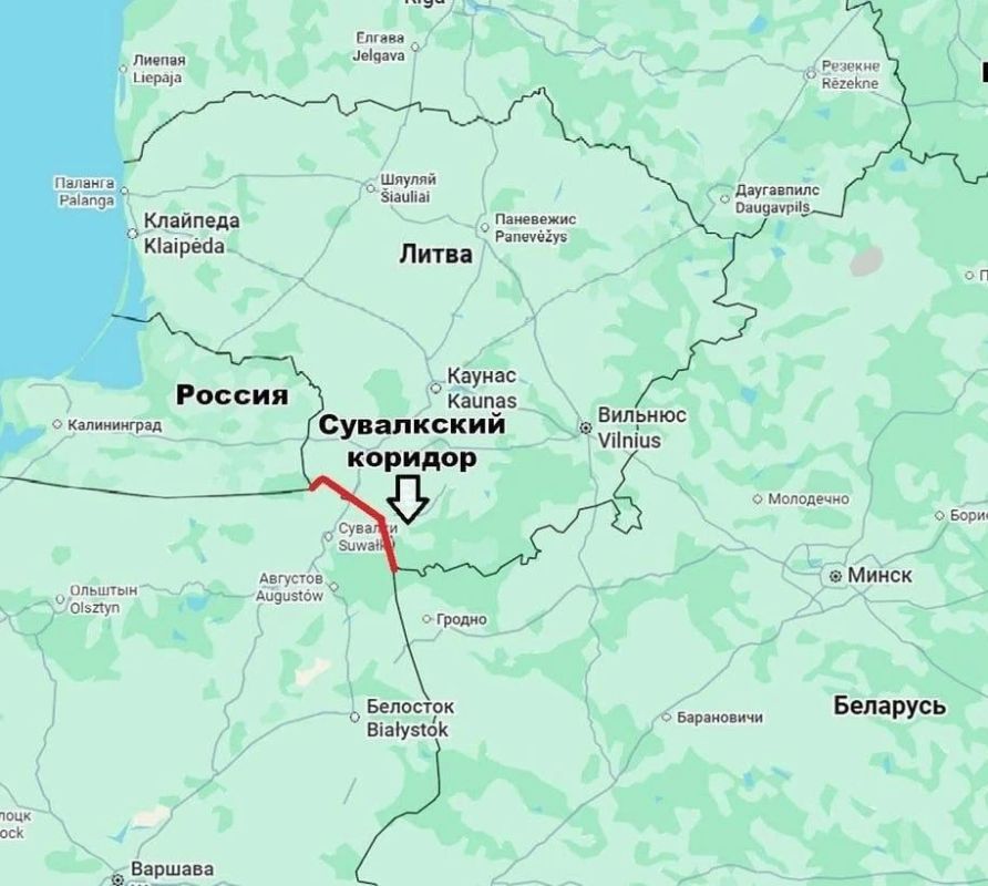 «Отважные кабаны» готовятся к атаке на Белоруссию?