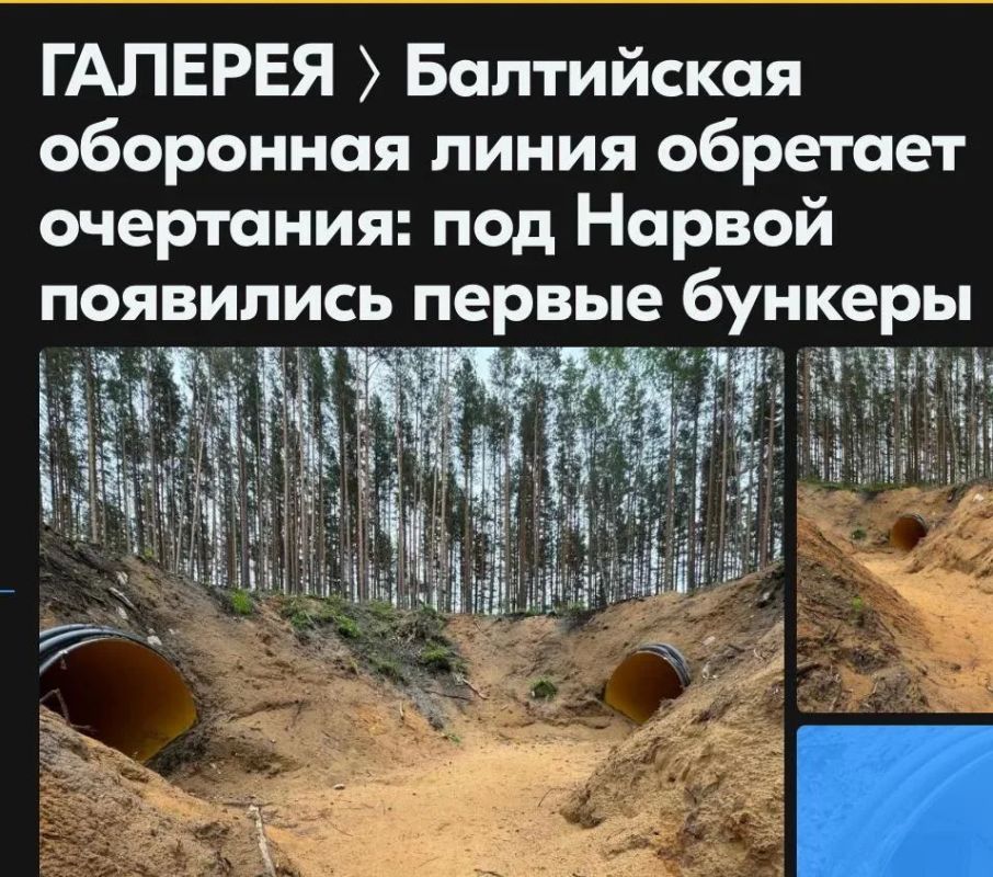 Михаил Онуфриенко: Эстонцы продемонстрировали норы, в которых собираются переждать войну между НАТО и Россией