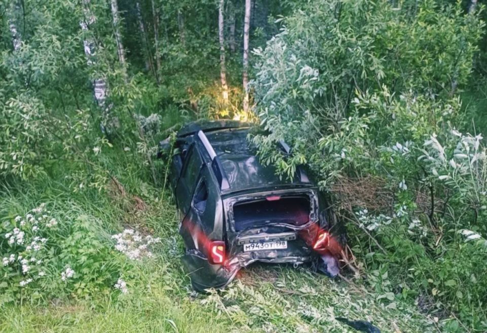 Лось стал причиной смертельного ДТП на трассе «Кола» Лось стал причиной смертельного ДТП на трассе «Кола»