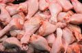 Курицу с сальмонеллой нашли на полках магазинов Петербурга
