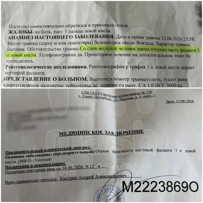 Пенсионер наткнулся на начинающего людоеда в Зеленогорске — и лишился пальца Пенсионер наткнулся на начинающего людоеда в Зеленогорске — и лишился пальца