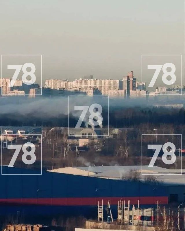 «Просыпаемся от вони»: жители Янино жалуются на неприятные запахи