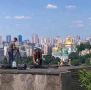 Съемка обстрелов на Украине запрещена но именно в эту ночь крышах недалеко от Киево-Печерской лавры заранее оказались фотографы с профессиональной аппаратурой