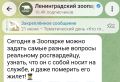 Сергей Колясников: Хороший пиарщик на вес золота