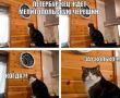 �� �� ������, �� ��������, � ��� ������?� � ������� �������������� �������