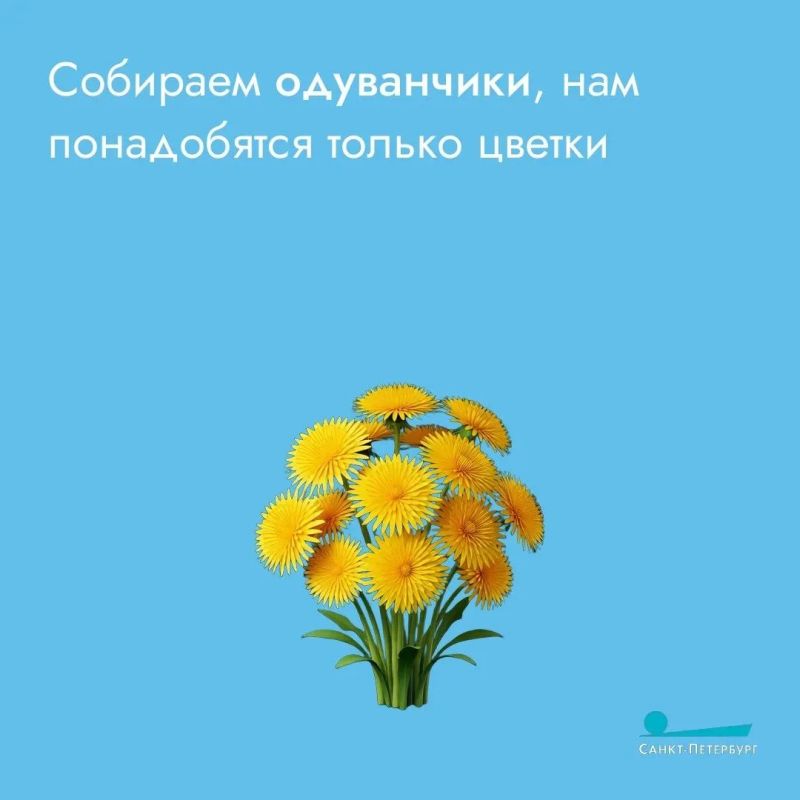 Одуванчиковое варенье – не только вкусно, но и полезно! Оно помогает поддерживать работу печени и желчного пузыря благодаря мягкому желчегонному эффекту Одуванчиковое варенье – не только вкусно, но и полезно! Оно помогает поддерживать работу печени и желчного пузыря благодаря мягкому желчегонному эффекту
