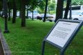 Сегодня Петербург отмечает 90-летие со дня рождения Почётного гражданина города, ректора СПбГУ Людмилы Вербицкой