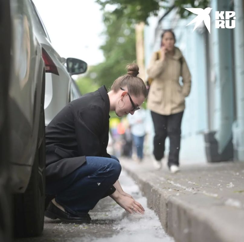 Пуха столько, что окна не открыть: Петербург утопает в белой вате