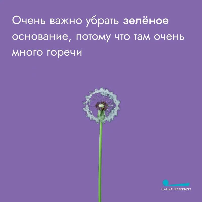Одуванчиковое варенье – не только вкусно, но и полезно! Оно помогает поддерживать работу печени и желчного пузыря благодаря мягкому желчегонному эффекту Одуванчиковое варенье – не только вкусно, но и полезно! Оно помогает поддерживать работу печени и желчного пузыря благодаря мягкому желчегонному эффекту